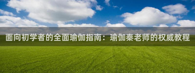 欧洲杯下赌注平台