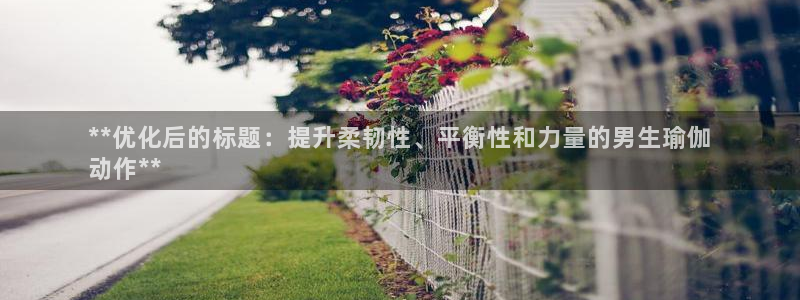 欧洲杯买足球软件有哪些