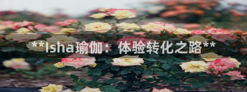 2024年欧洲杯投注