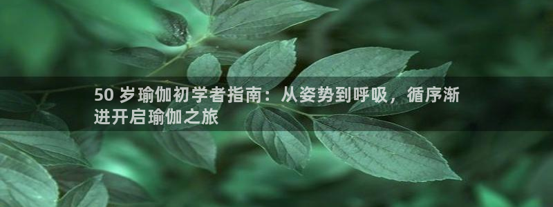 怎么买欧洲杯
