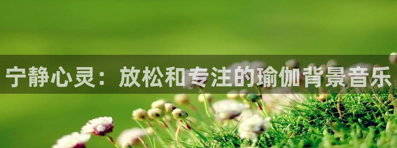 欧洲杯投注在哪找网址