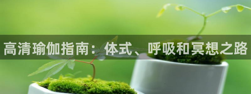 2024欧洲杯买球手机版