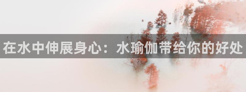 欧洲杯下赌注平台