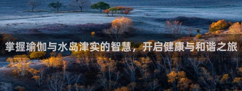 欧洲杯下单平台官网