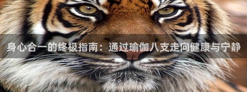 欧洲杯下赌注平台