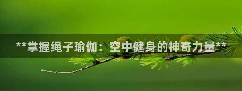 欧洲杯押注怎么买
