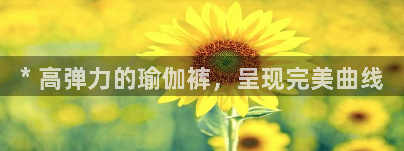 welcome欧洲杯官网