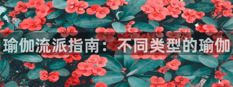 欧洲杯投注在哪找网址