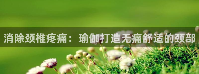 欧洲杯下赌注平台