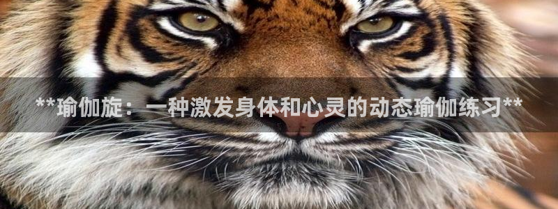 2024正规欧洲杯平台