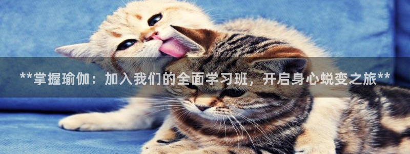 放心购买足球平台
