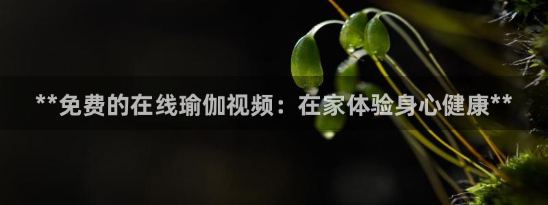欧洲杯押注怎么买