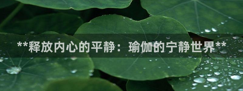 放心购买足球平台