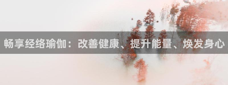 欧洲杯哪里买球靠谱