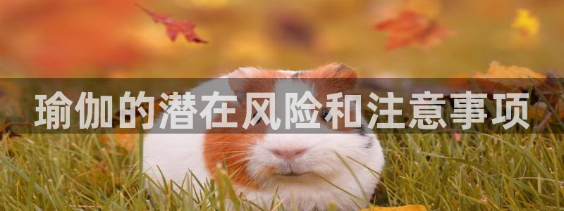 买欧洲杯的竞猜在那个app