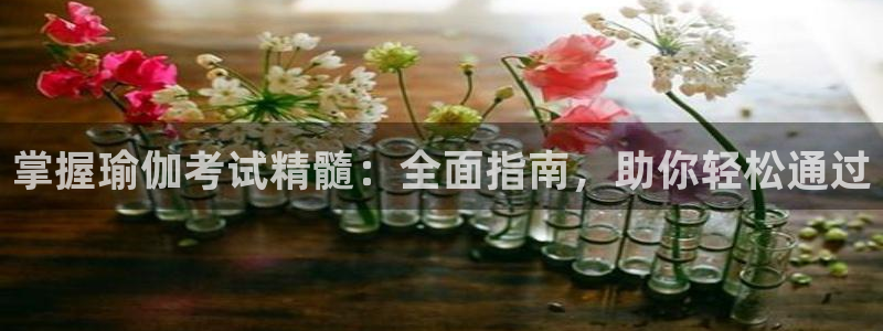 买欧洲杯的竞猜在那个app