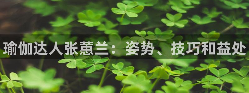 欧洲杯下单平台官网网址