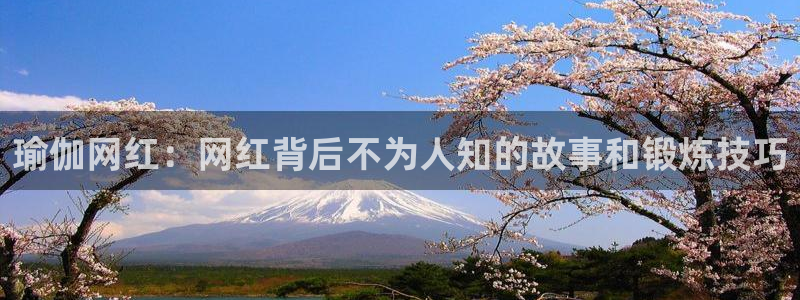 欧洲杯下单平台官网