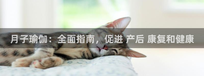 欧洲杯买球手机app