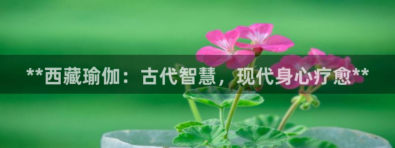 欧洲杯靠谱买球平台