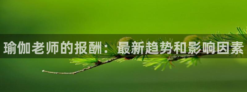 欧洲杯下单网址