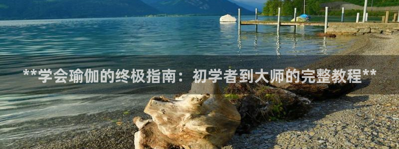 欧洲杯押注入口