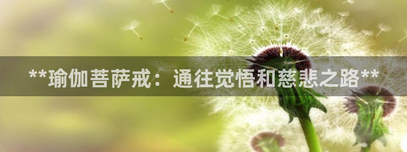十大靠谱外围买球网站
